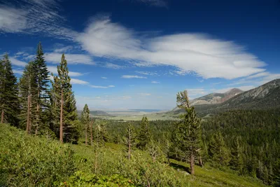 DSC_0074 (Large).JPG